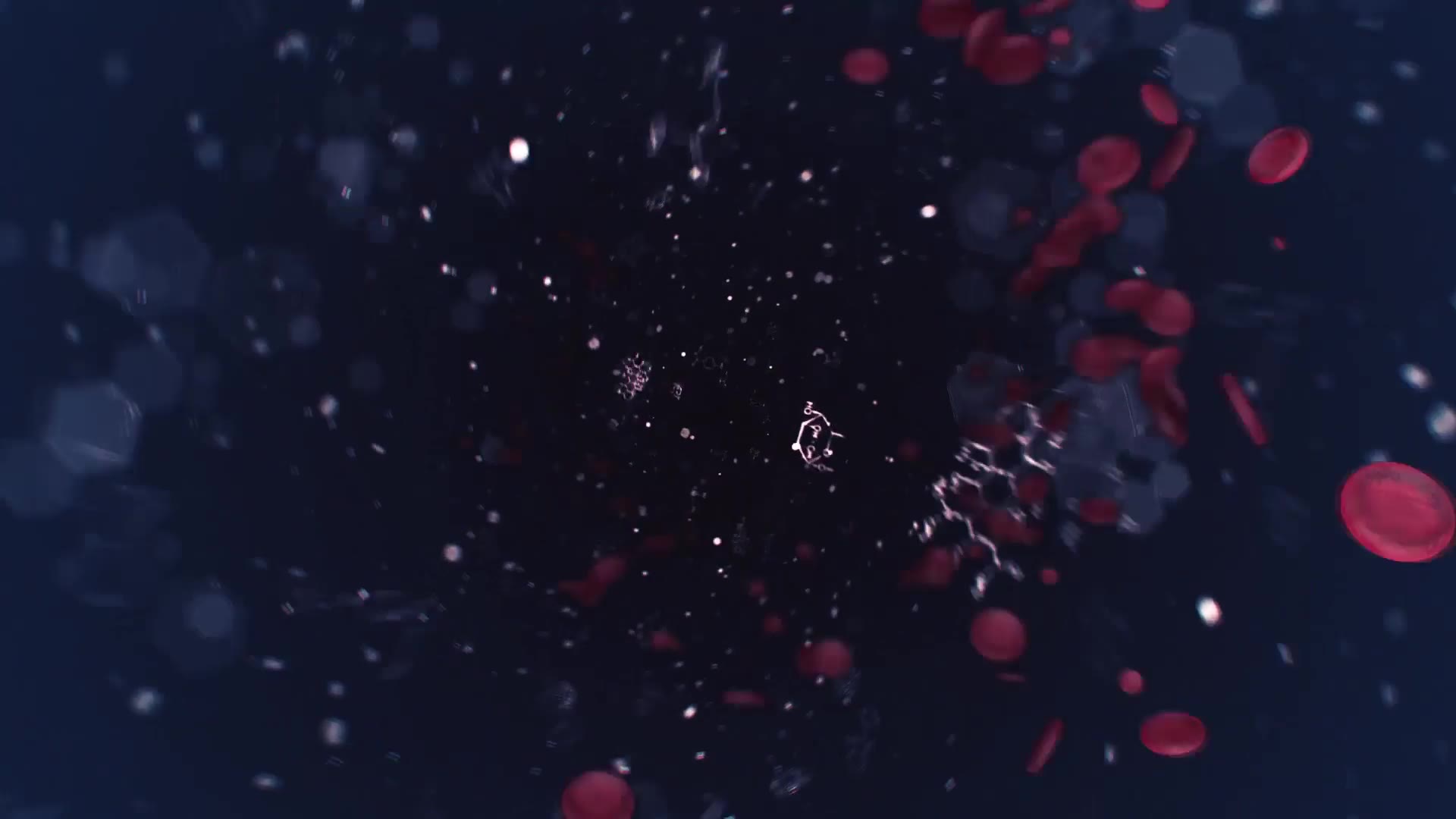 Blood Cells Videohive 24306177 After Effects Image 2