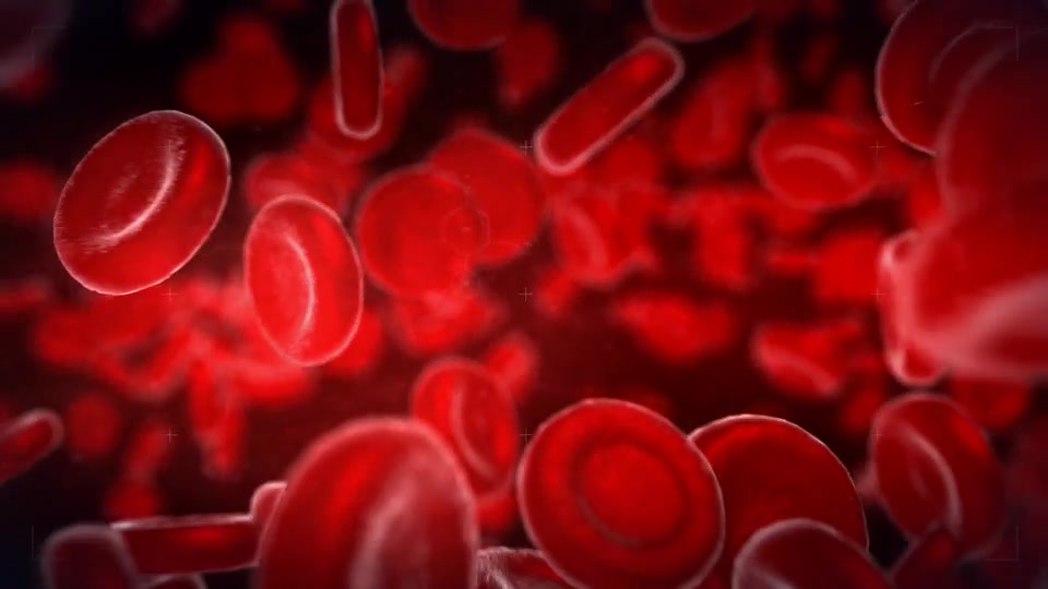 Blood Videohive 11659758 After Effects Image 10