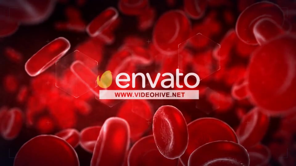 Blood Videohive 11659758 After Effects Image 11