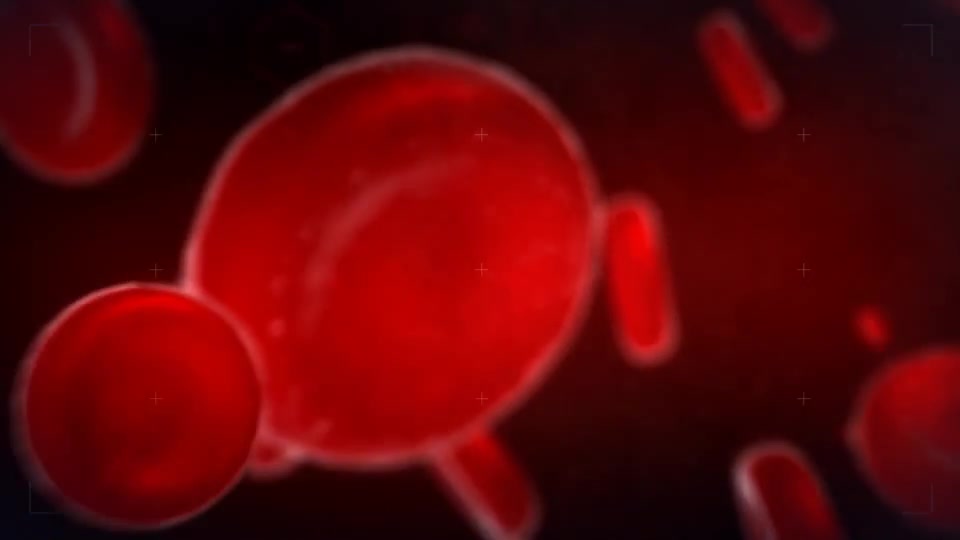 Blood Videohive 11659758 After Effects Image 3