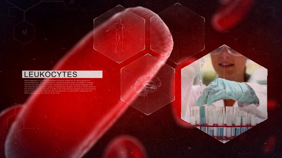 Blood Videohive 11659758 After Effects Image 4