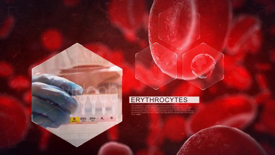 Blood Videohive 11659758 After Effects Image 5