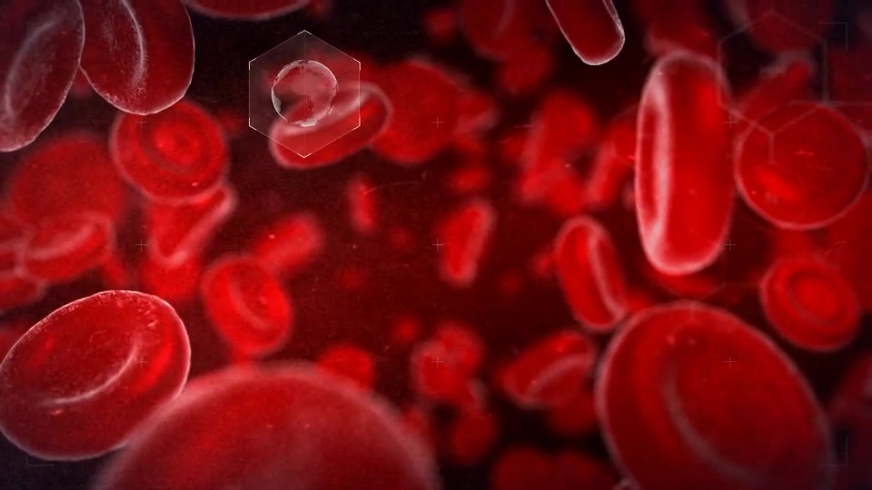 Blood Videohive 11659758 After Effects Image 7