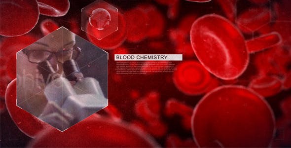 Blood - Download Videohive 11659758