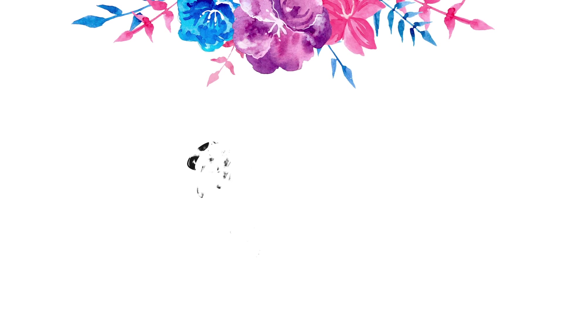 Blooming Flowers. Watercolor Pack Videohive 35818055 After Effects Image 8