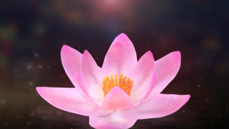 Blooming Lotus Logo Reveal Videohive 31343563 After Effects Image 4