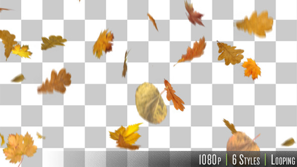 Blowing & Falling Leaves - Download Videohive 13203099