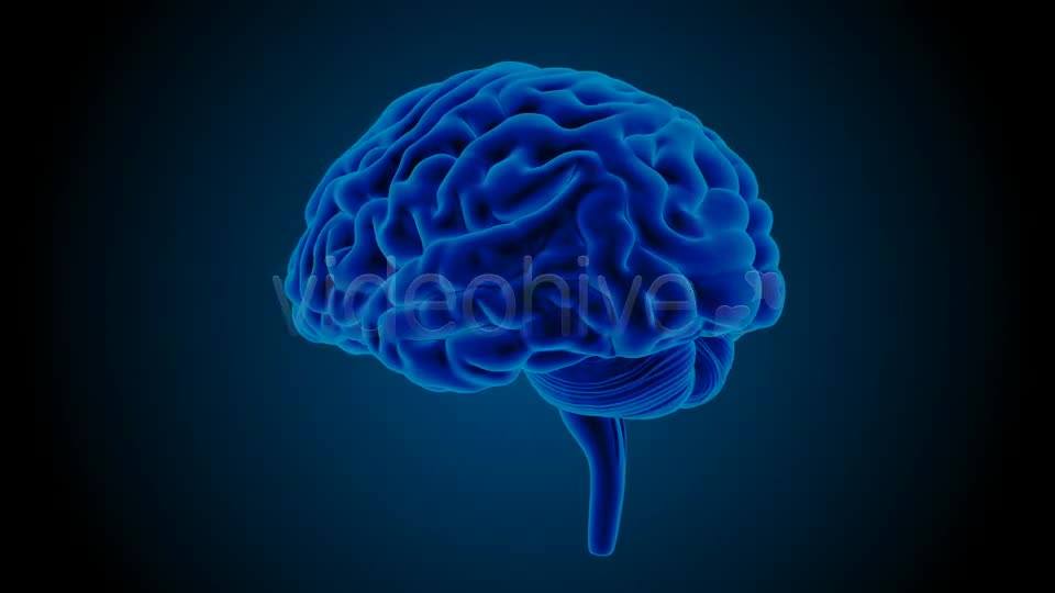 Blue Brains Videohive 7855423 Motion Graphics Image 1