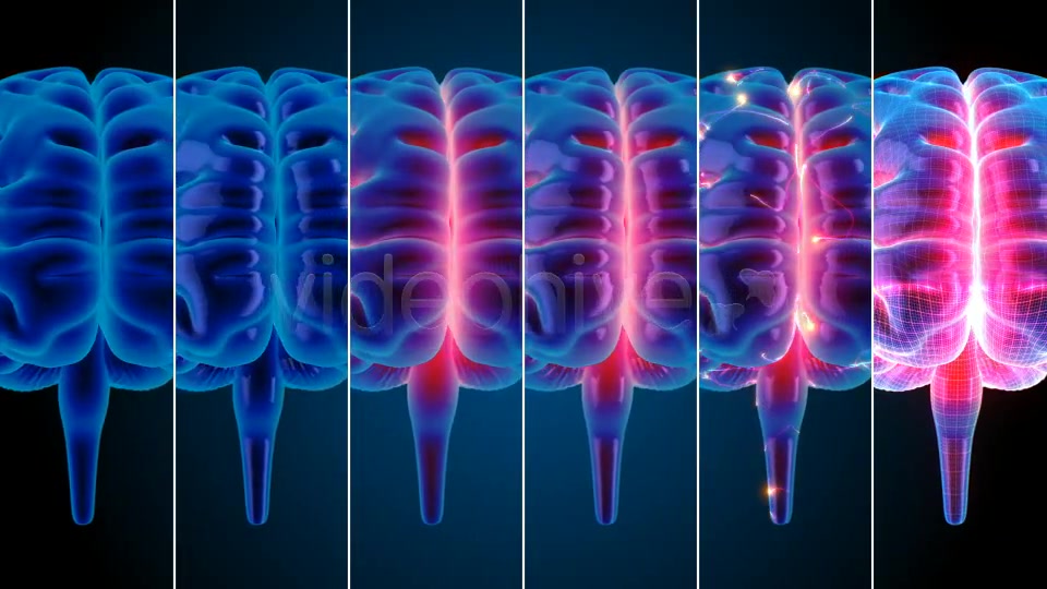 Blue Brains Videohive 7855423 Motion Graphics Image 11