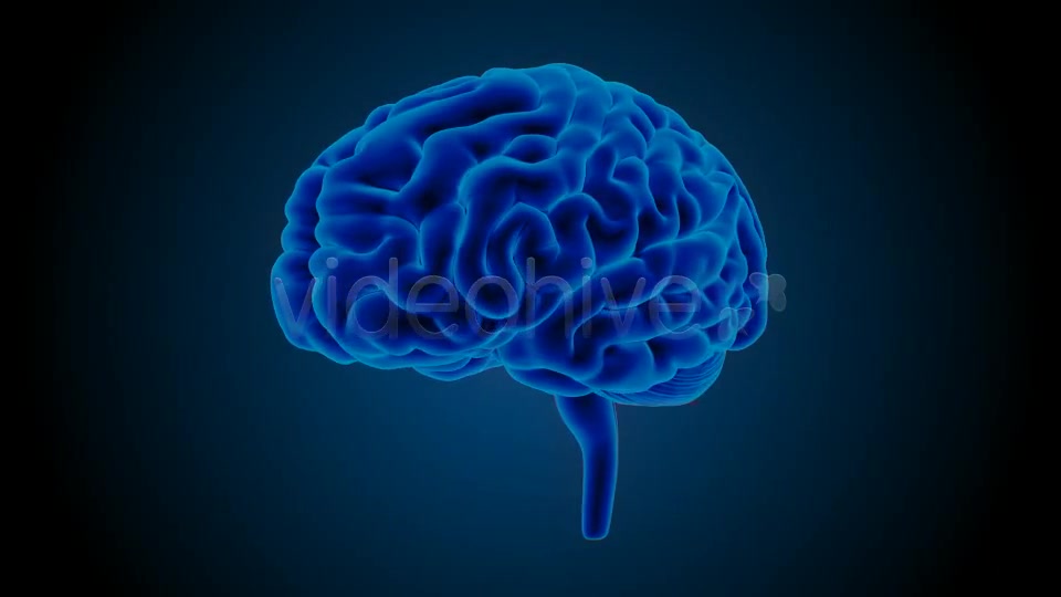 Blue Brains Videohive 7855423 Motion Graphics Image 12