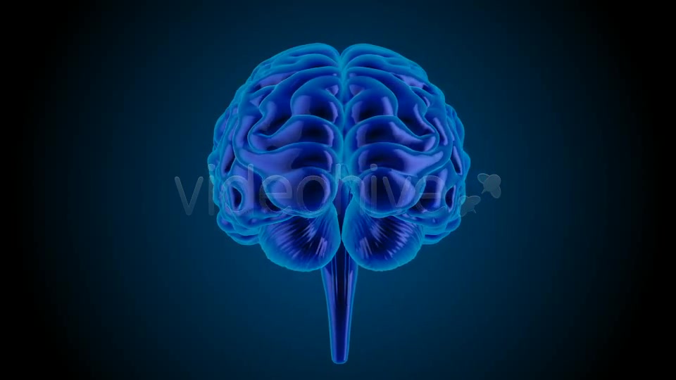 Blue Brains Videohive 7855423 Motion Graphics Image 2