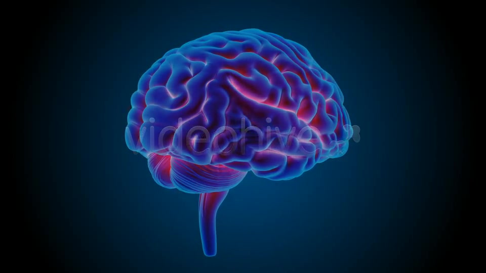 Blue Brains Videohive 7855423 Motion Graphics Image 3