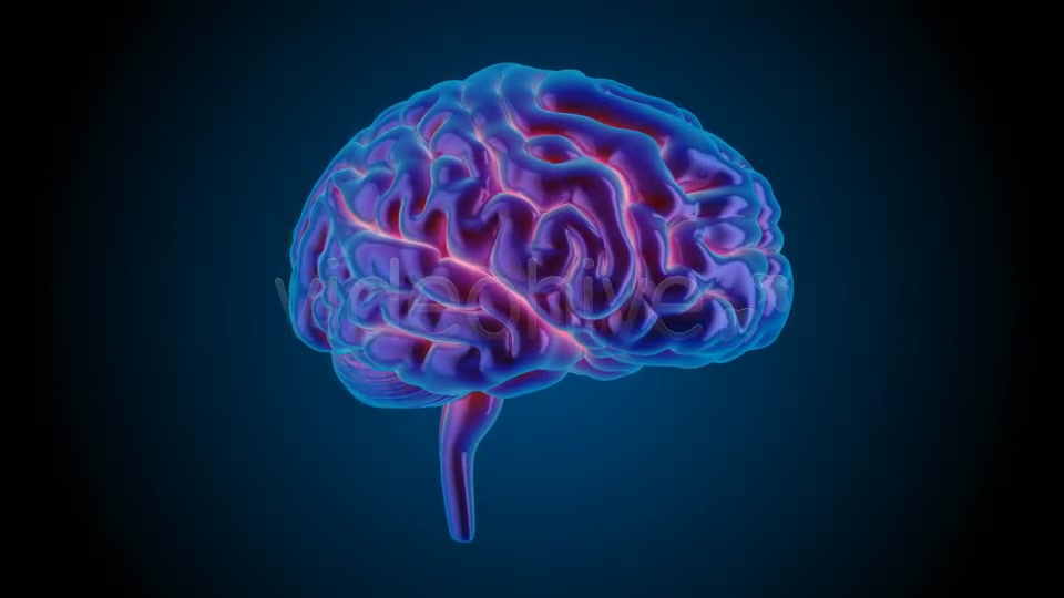 Blue Brains Videohive 7855423 Motion Graphics Image 4