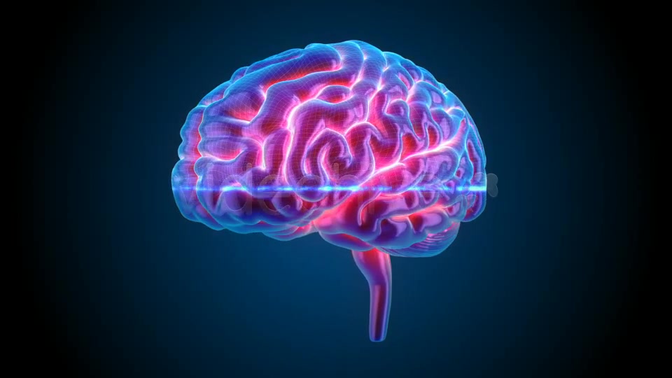 Blue Brains Videohive 7855423 Motion Graphics Image 6