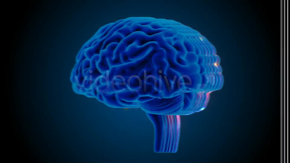 Blue Brains Videohive 7855423 Motion Graphics Image 7