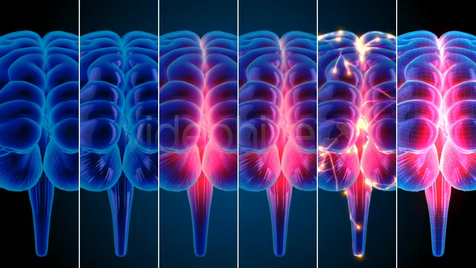 Blue Brains Videohive 7855423 Motion Graphics Image 8