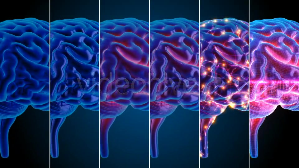 Blue Brains Videohive 7855423 Motion Graphics Image 9
