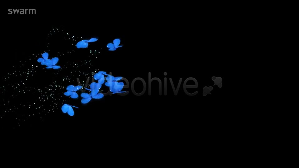 Blue Butterflies Animation Videohive 5507126 Motion Graphics Image 2