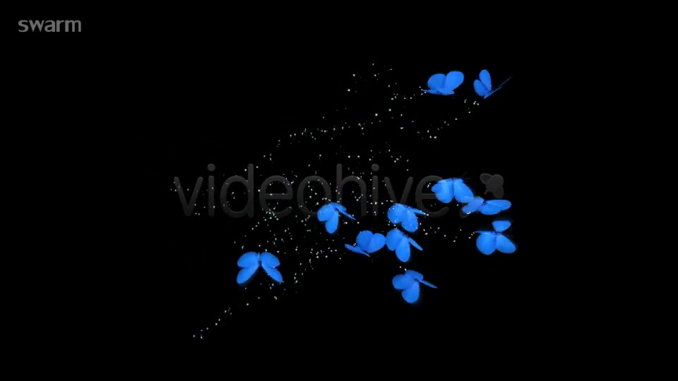 Blue Butterflies Animation Videohive 5507126 Motion Graphics Image 3