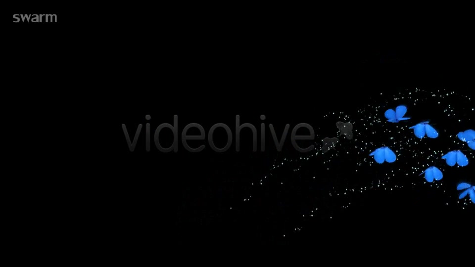 Blue Butterflies Animation Videohive 5507126 Motion Graphics Image 4