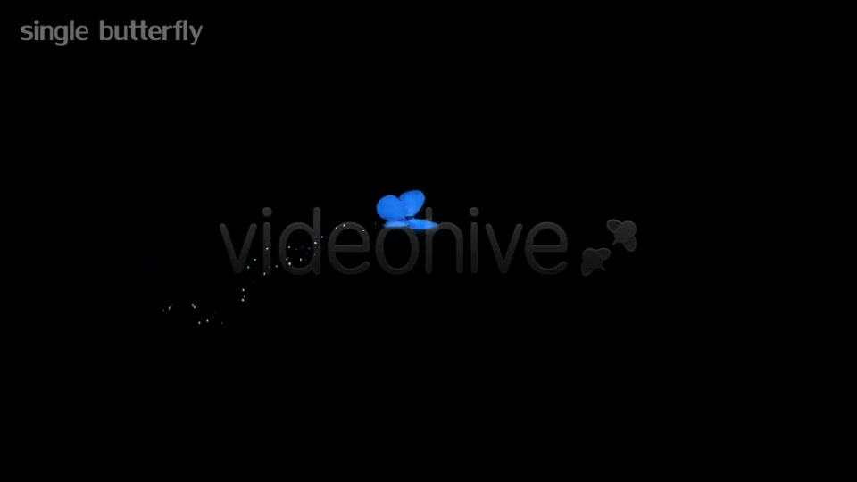 Blue Butterflies Animation Videohive 5507126 Motion Graphics Image 7