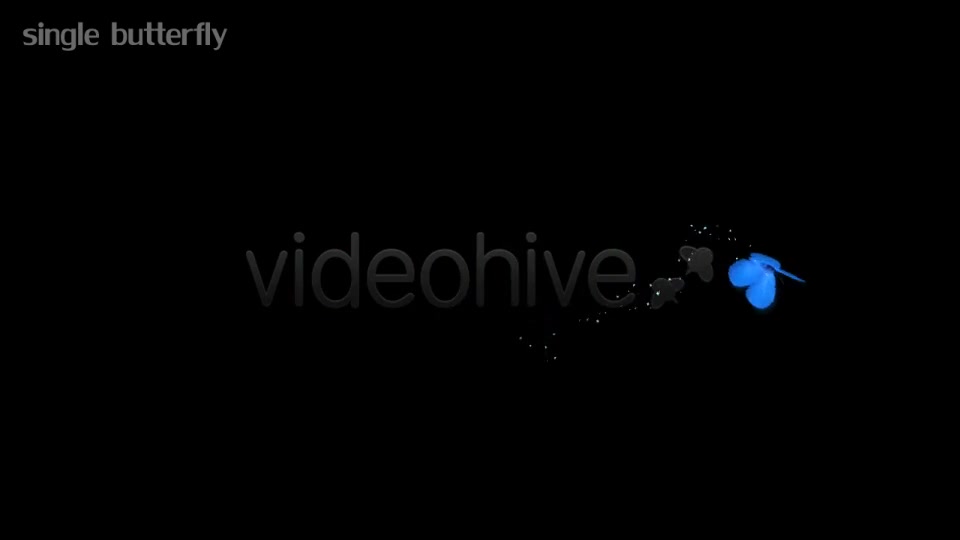 Blue Butterflies Animation Videohive 5507126 Motion Graphics Image 8