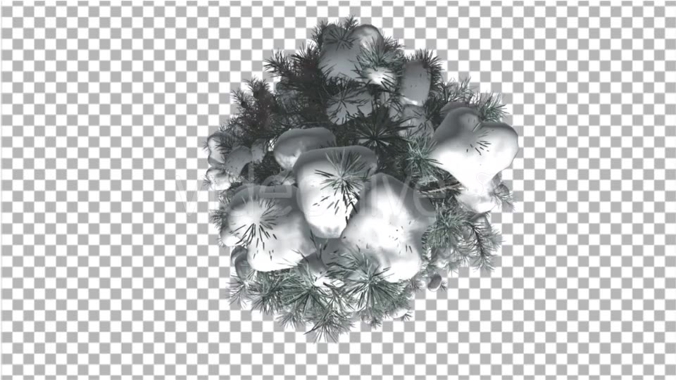 Blue Spruce Top Down Snow on a Branches Winter - Download Videohive 16931340