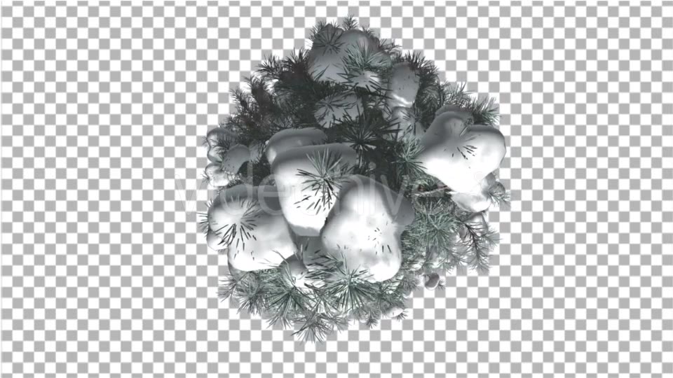 Blue Spruce Top Down Snow on a Branches Winter - Download Videohive 16931340