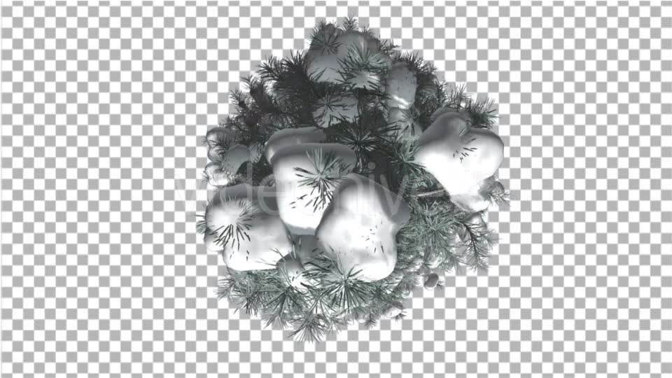 Blue Spruce Top Down Snow on a Branches Winter - Download Videohive 16931340