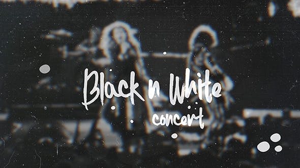 BnW Concert - Download Videohive 11995841