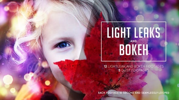Bokeh and Lightleak - Videohive Download 24679277