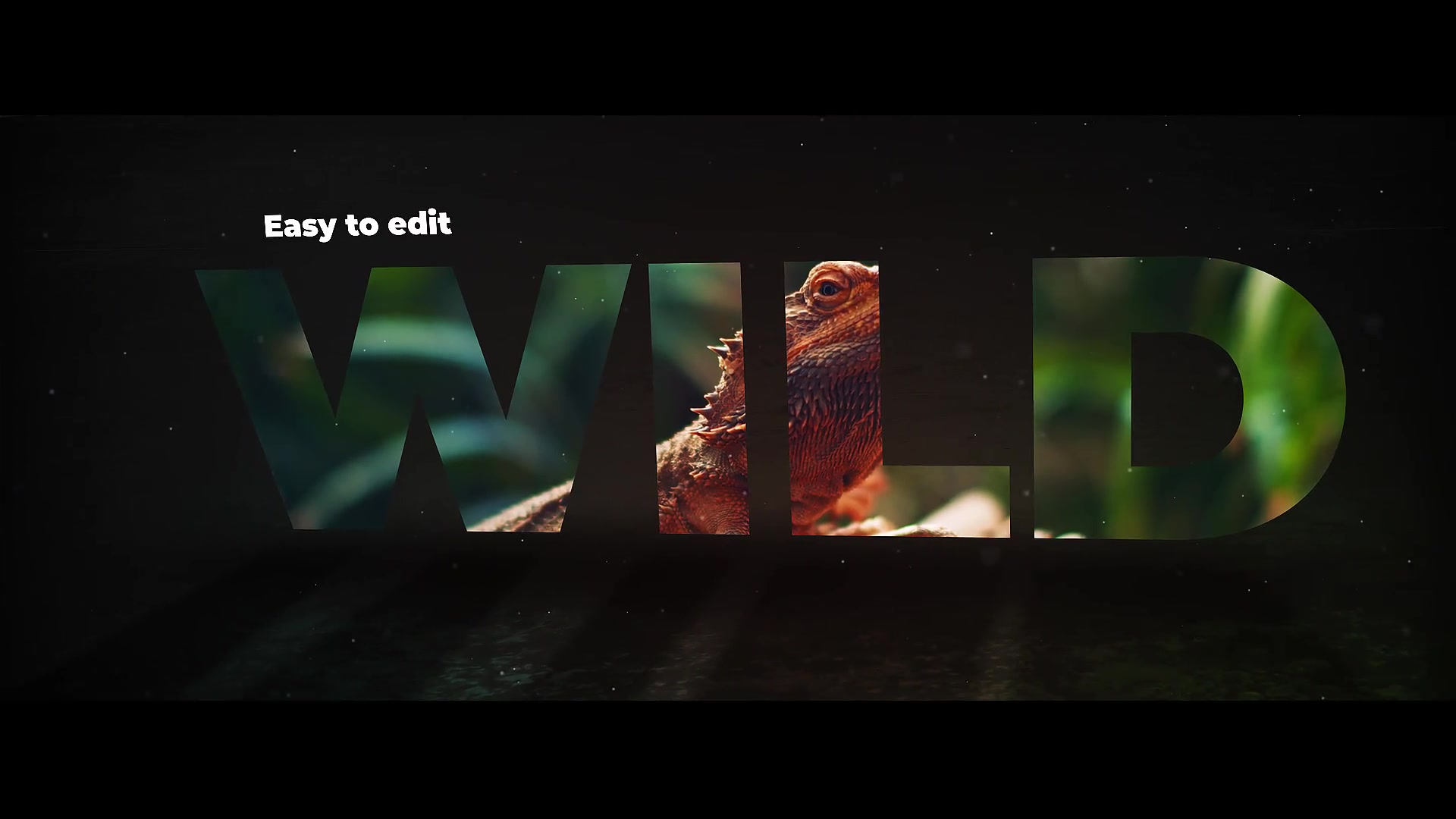 Bold Words Videohive 27956376 After Effects Image 5