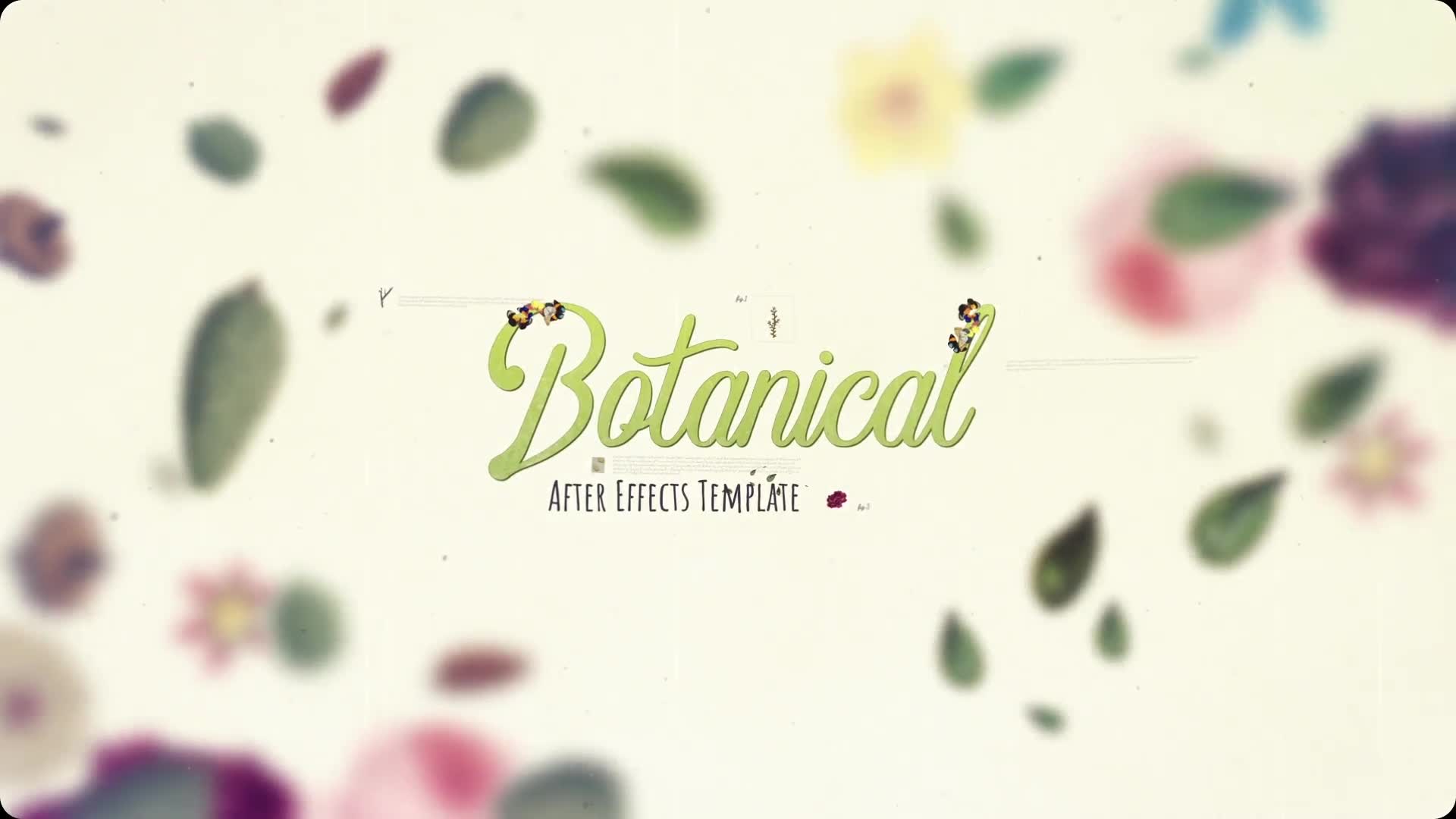 Botanical Slideshow Wedding, Love Story, Family Album - Download Videohive 22525749