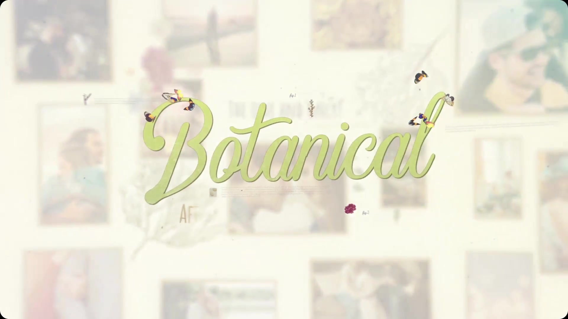 Botanical Slideshow Wedding, Love Story, Family Album - Download Videohive 22525749