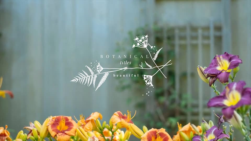 Botanical Titles Videohive 19530618 After Effects Image 2