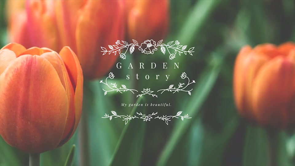 Botanical Titles Videohive 19530618 After Effects Image 3