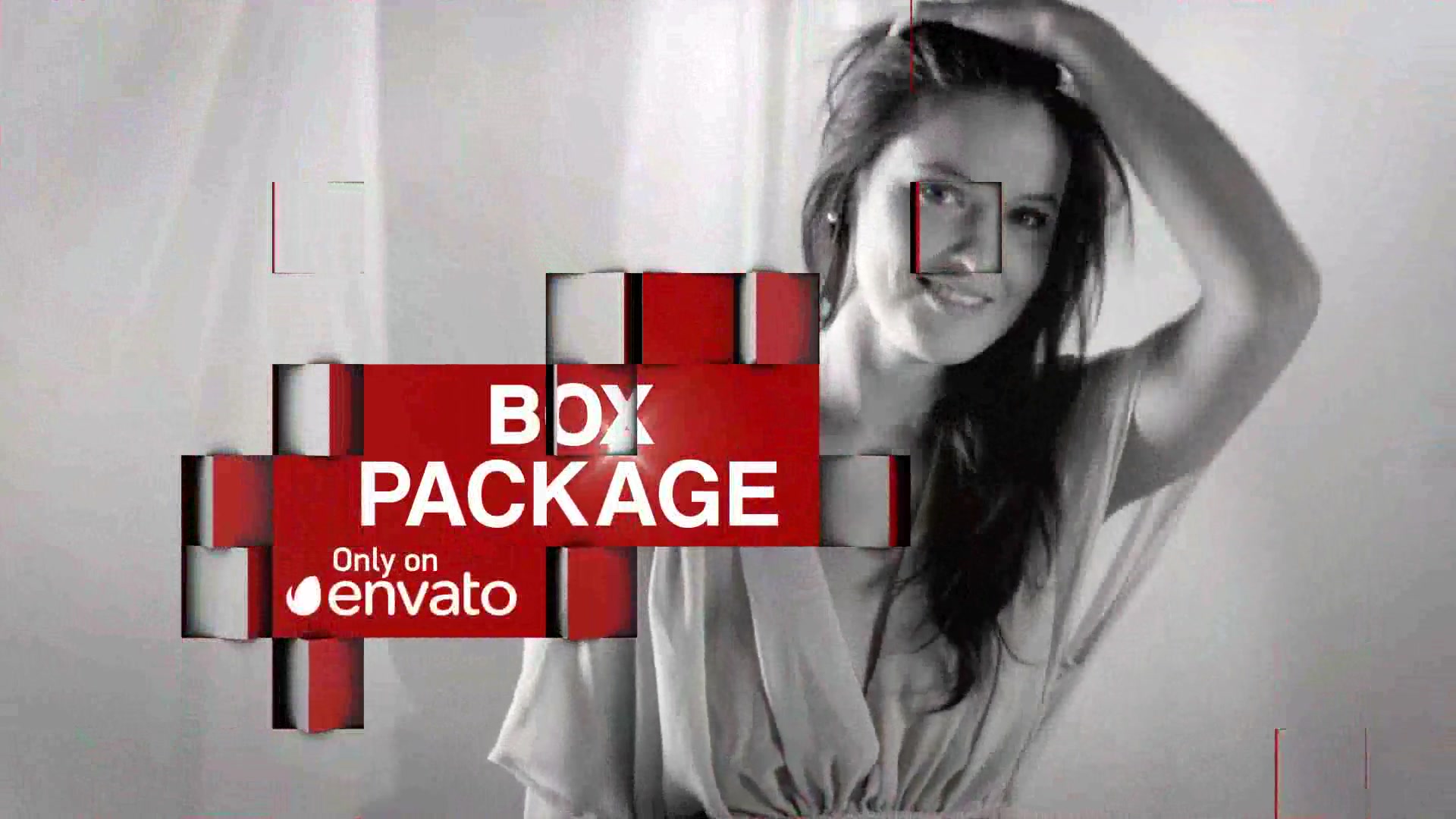 Box Package - Download Videohive 8686843