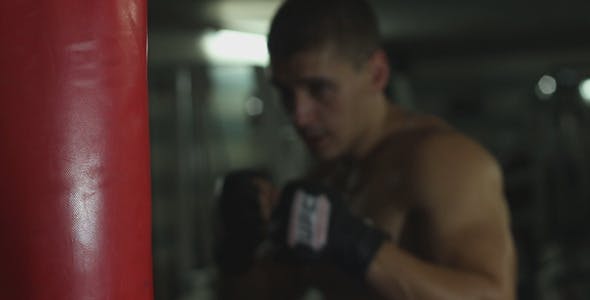 Boxer Boxing  - 8998451 Download Videohive