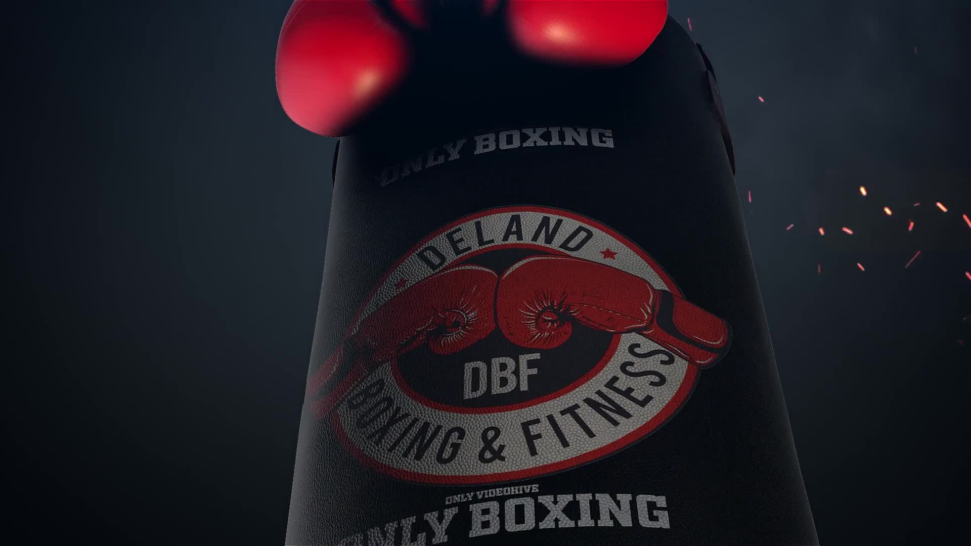 Boxing Gloves Logo Reveal Videohive 25009365 After Effects Image 1