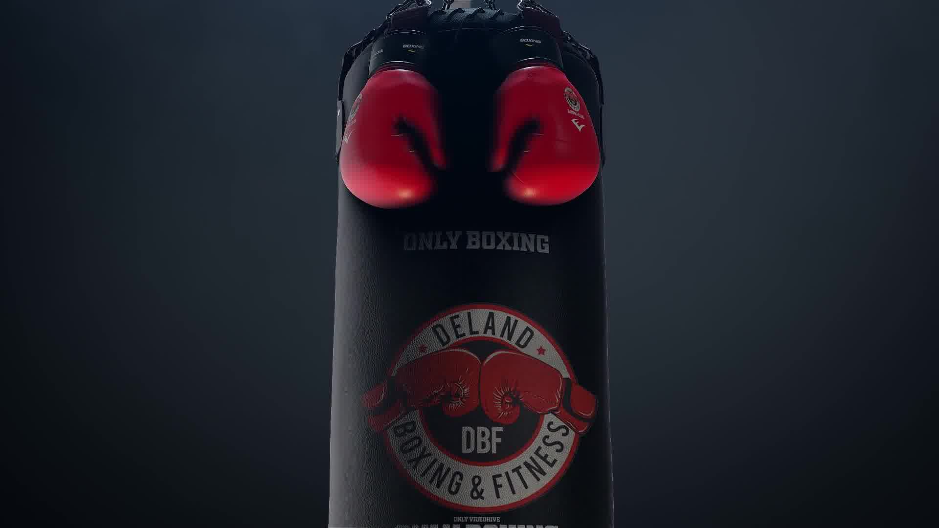Boxing Gloves Logo Reveal Videohive 25009365 After Effects Image 10