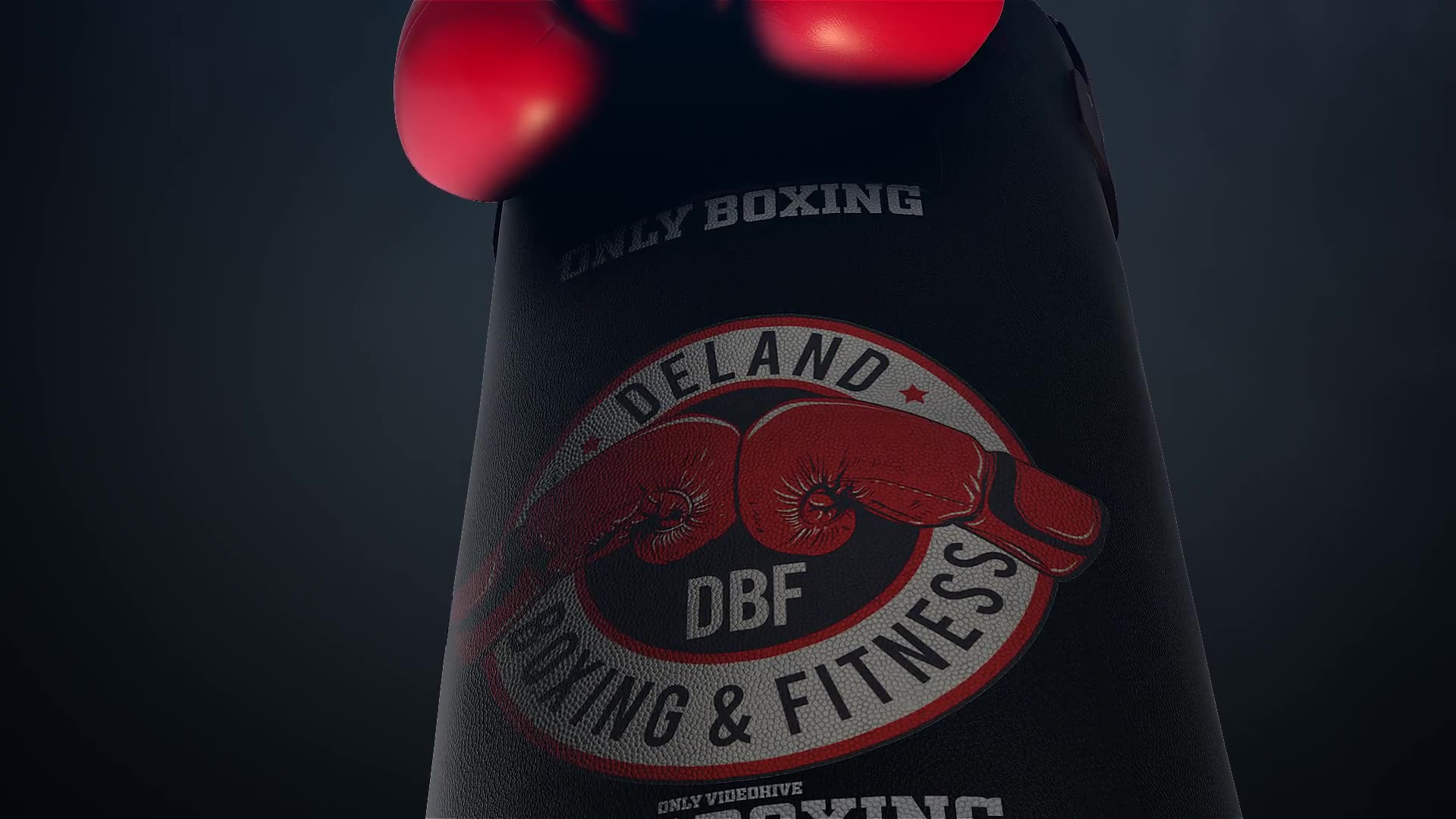 Boxing Gloves Logo Reveal Videohive 25009365 After Effects Image 2