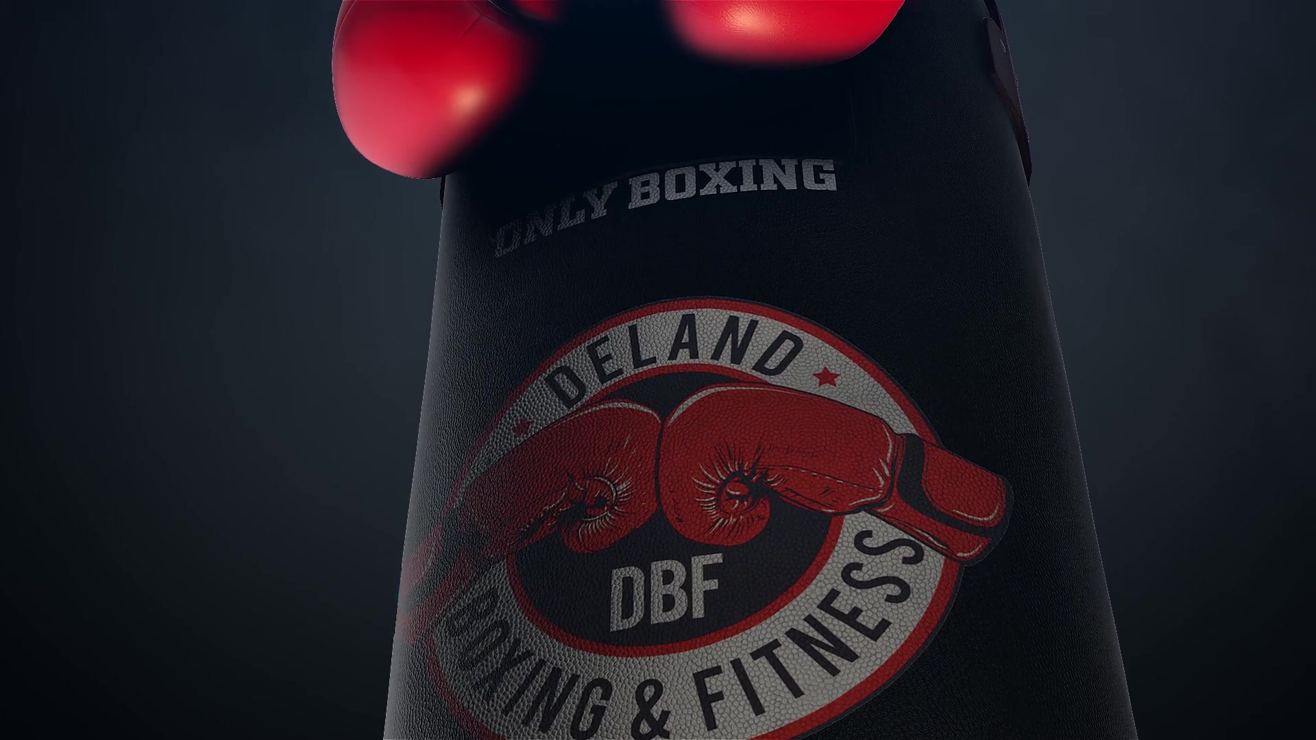 Boxing Gloves Logo Reveal Videohive 25009365 After Effects Image 3