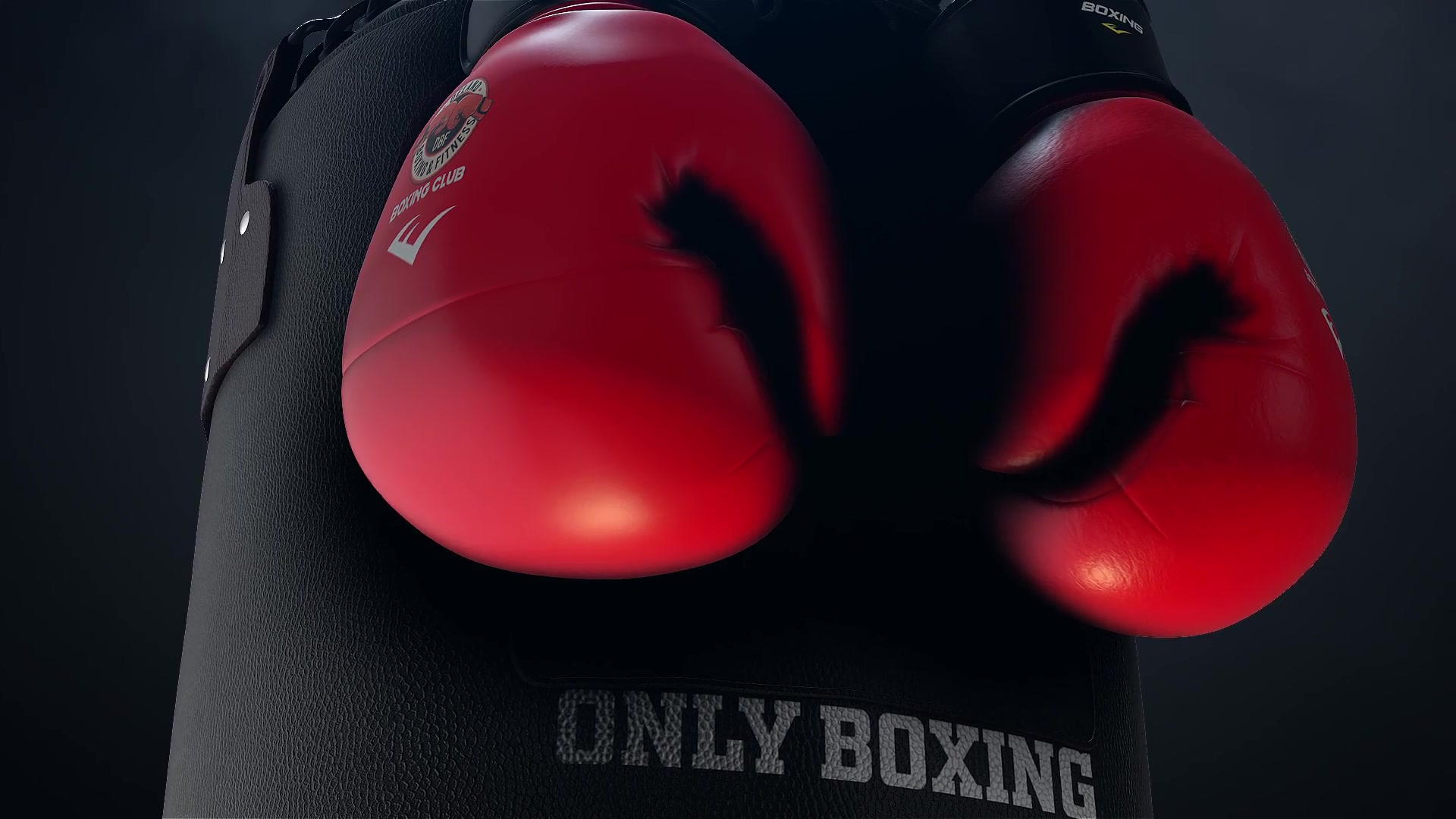 Boxing Gloves Logo Reveal Videohive 25009365 After Effects Image 4