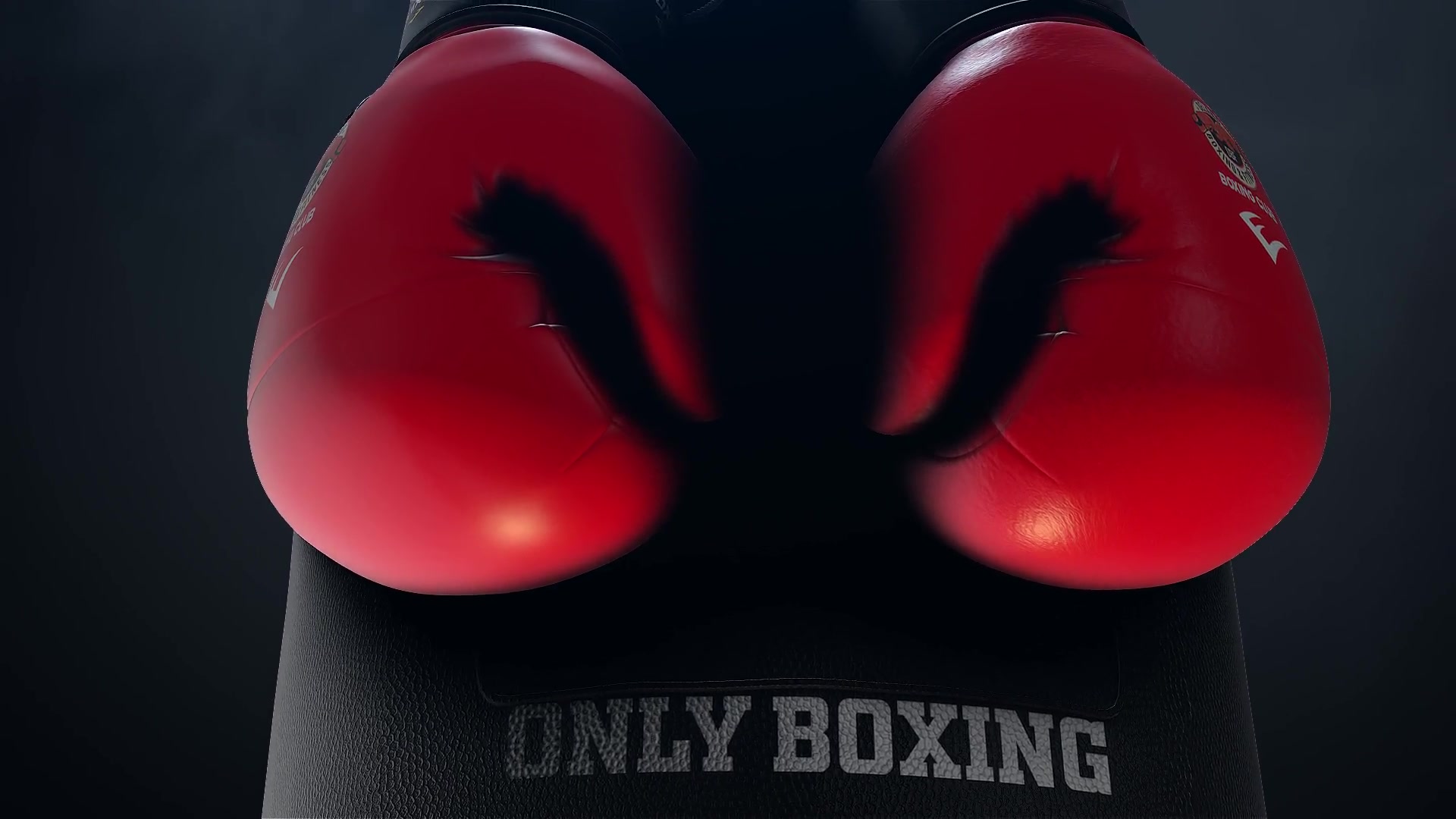 Boxing Gloves Logo Reveal Videohive 25009365 After Effects Image 5