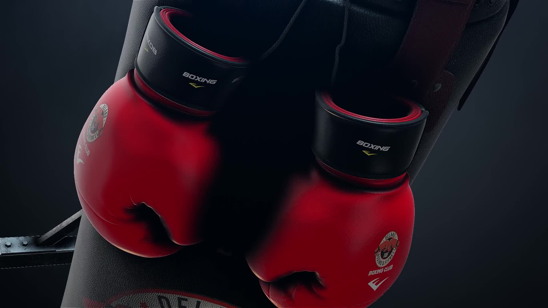 Boxing Gloves Logo Reveal Videohive 25009365 After Effects Image 7