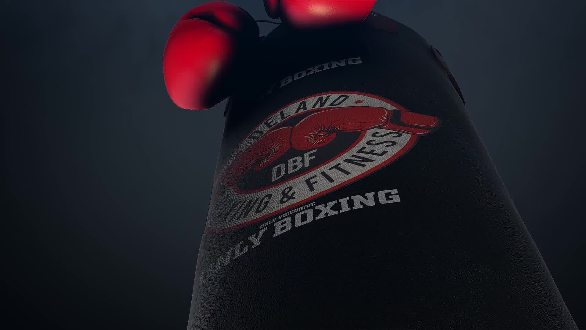Boxing Gloves Logo Reveal Videohive 25009365 After Effects Image 8