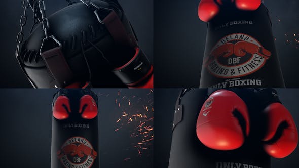 Boxing Gloves Logo Reveal - Videohive Download 25009365