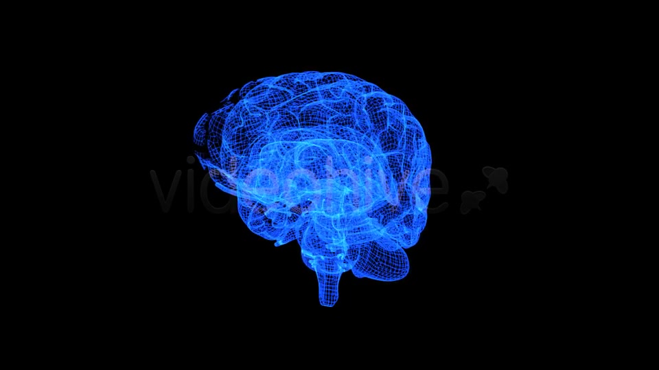 Brain 3D Wireframe Spinning Formation Videohive 7895867 Motion Graphics Image 10