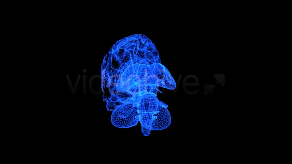 Brain 3D Wireframe Spinning Formation Videohive 7895867 Motion Graphics Image 3
