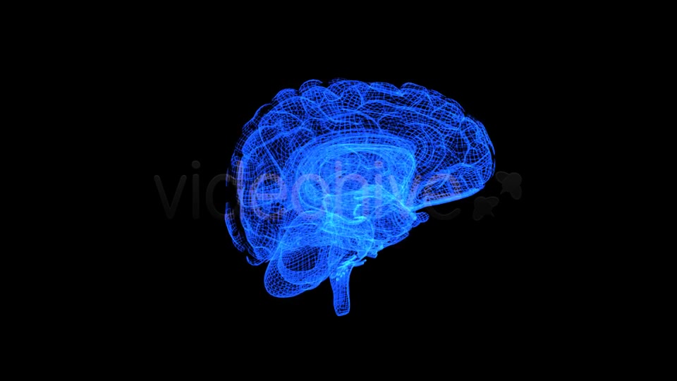 Brain 3D Wireframe Spinning Formation Videohive 7895867 Motion Graphics Image 4